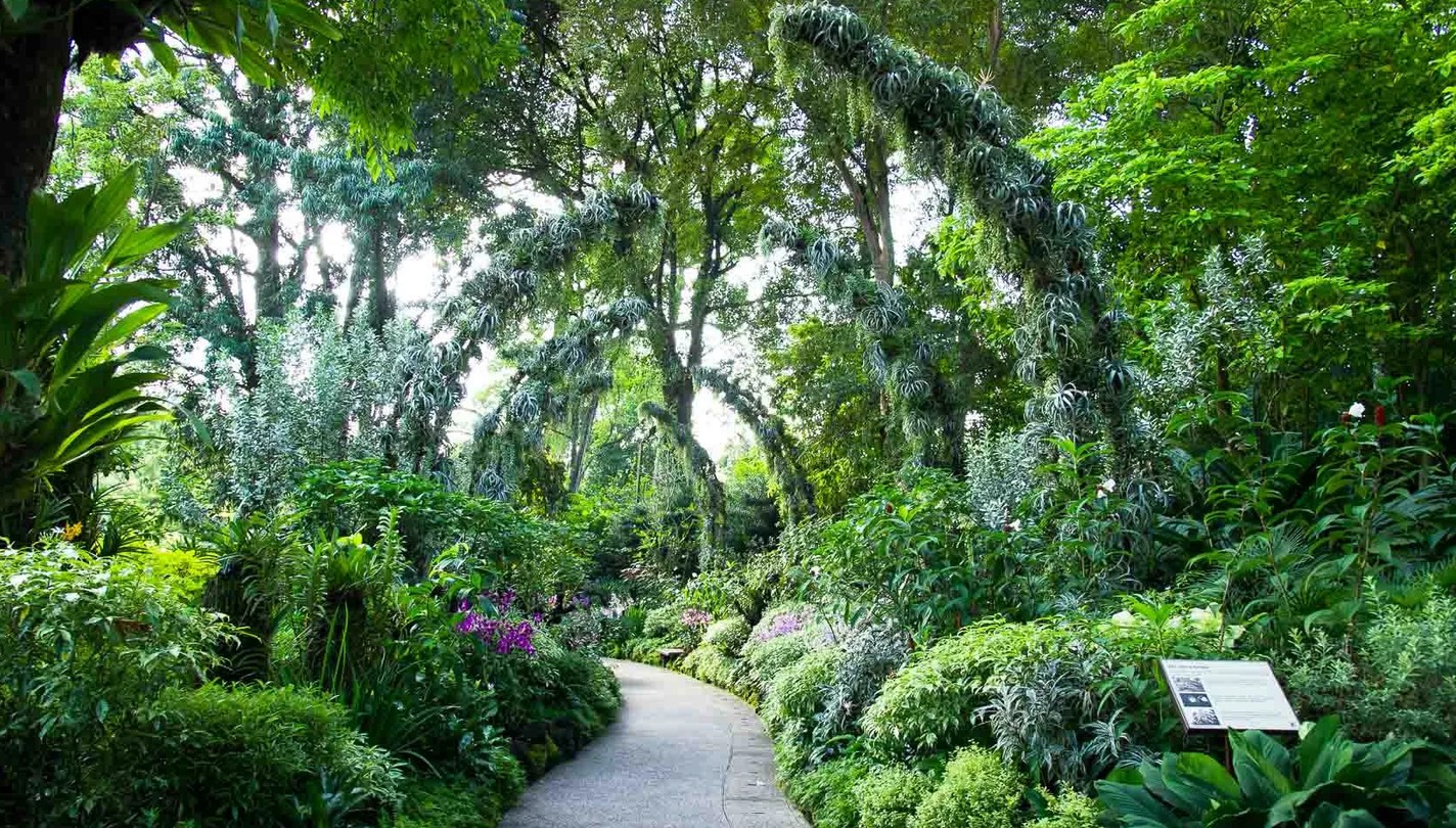 Singapore Botanic Gardens